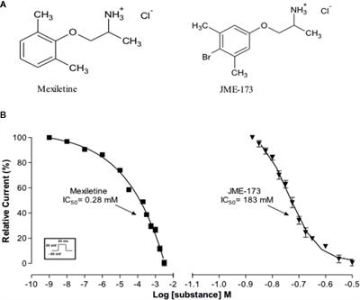 Anti-Bronchospasmodic Effect of JME-173, a Novel Mexiletine Analog Endowed With Highly Attenuated Anesthetic Activity